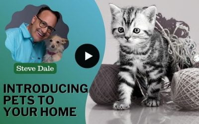 Introducing Pets to Your Home with Steve Dale