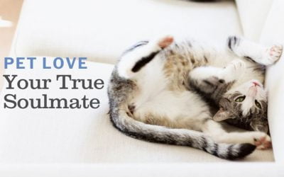 The True Soulmate – My Pet