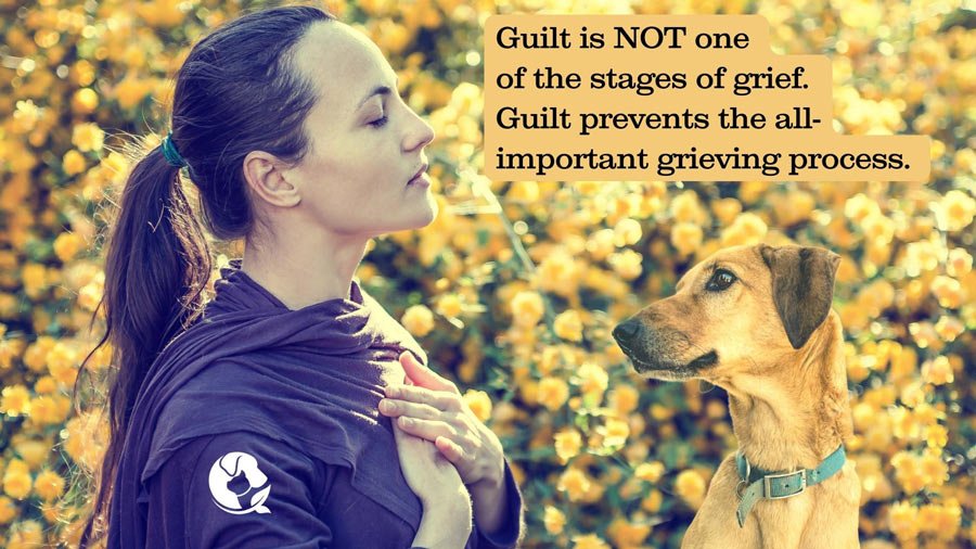 When-Guilt-Prevents-Grief