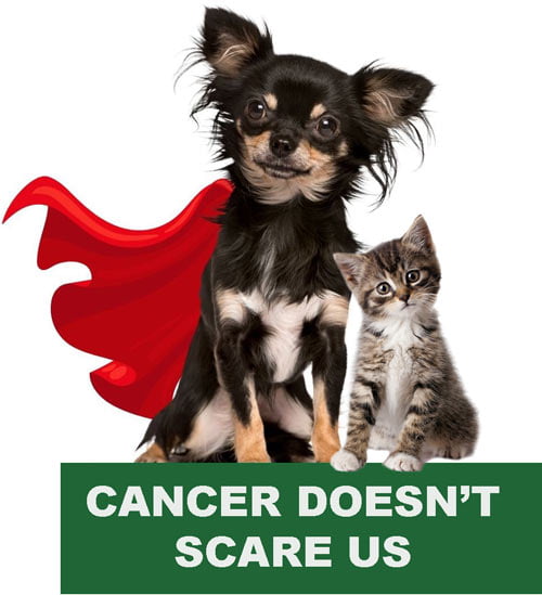 cancer-doesnt-scare-us1 pet cancer, holistic pet care