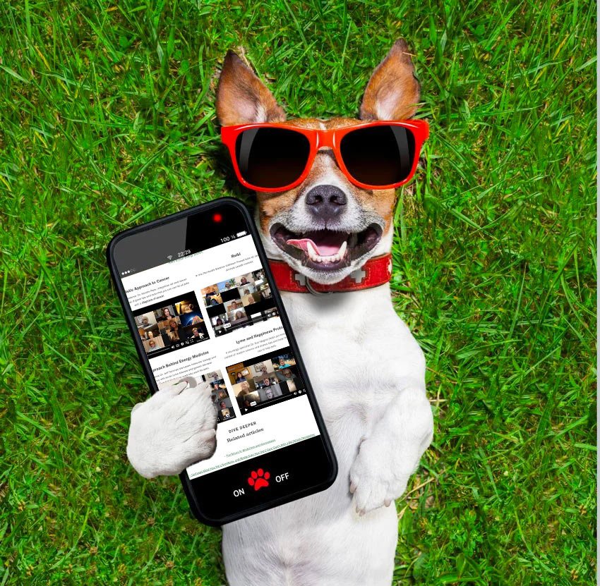 DOG-PHONE-GIFT first aid kit image