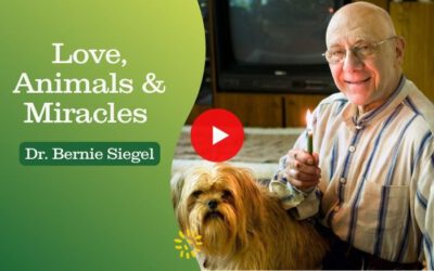 Love, Animals & Miracles With Dr. Bernie Siegel