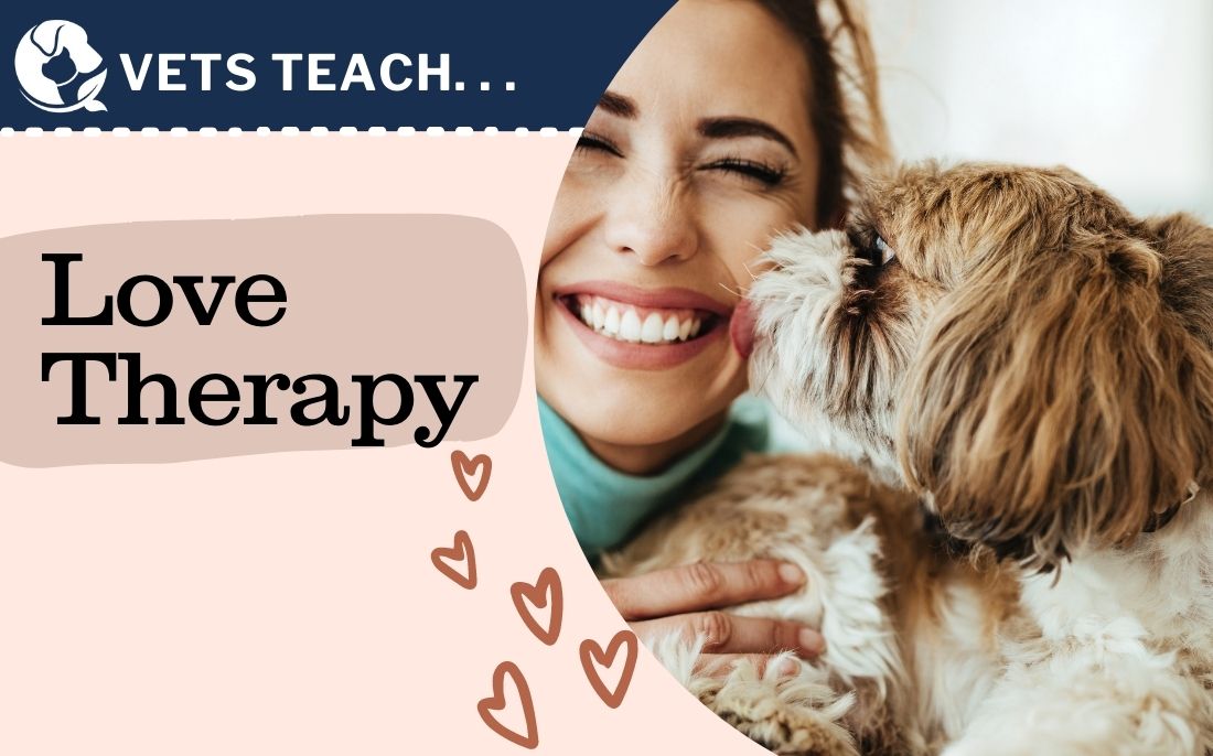 Love therapy for pet