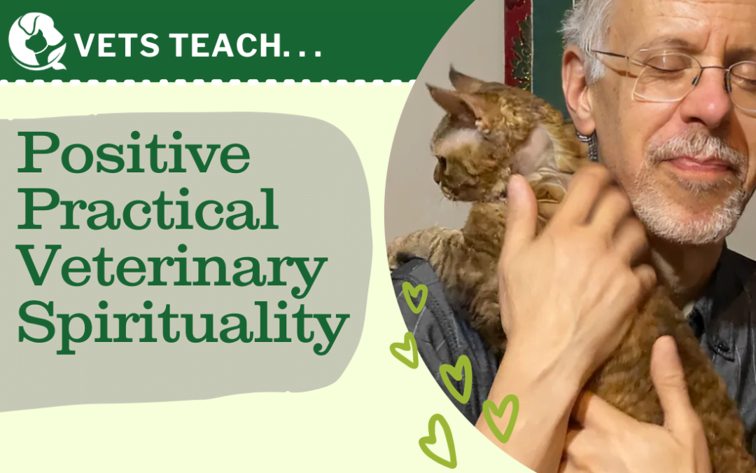 Positive and Practical Veterinary Spirituality