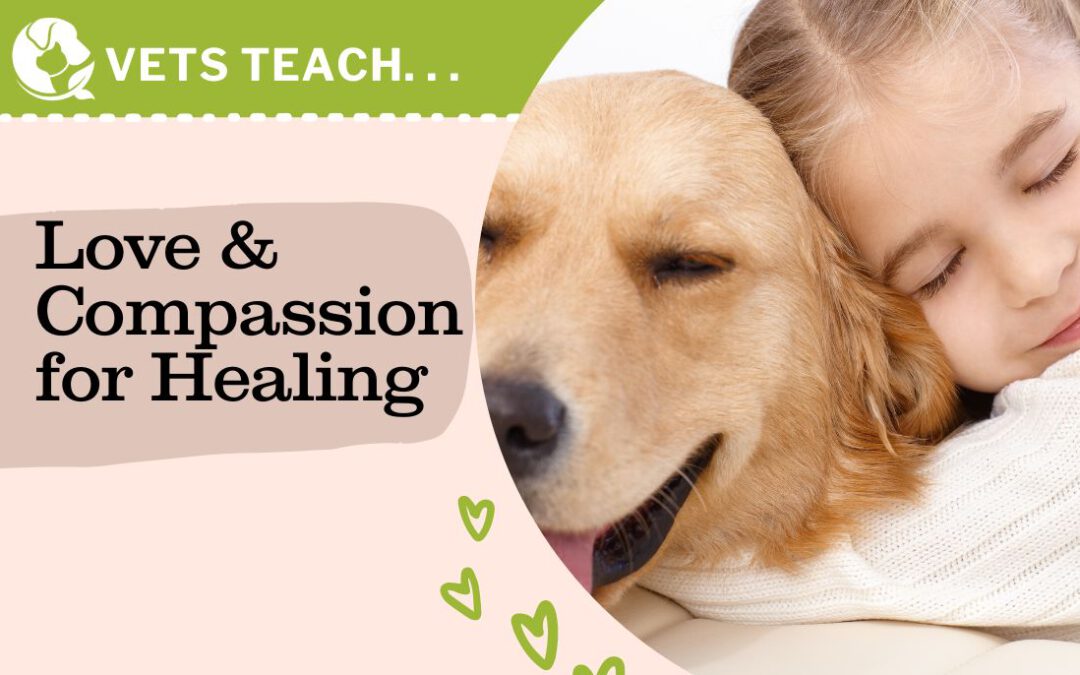 Embracing Unconditional Love: Harnessing Compassion and the Human-Animal Bond to Promote Healing
