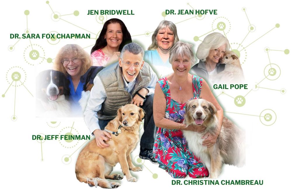 holistic pet care, holistic pet health, holistic actions, holistic veterinarian