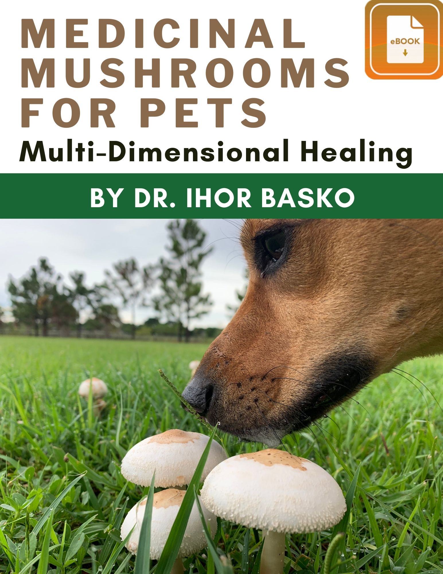 Medicinal Mushroom Ebook