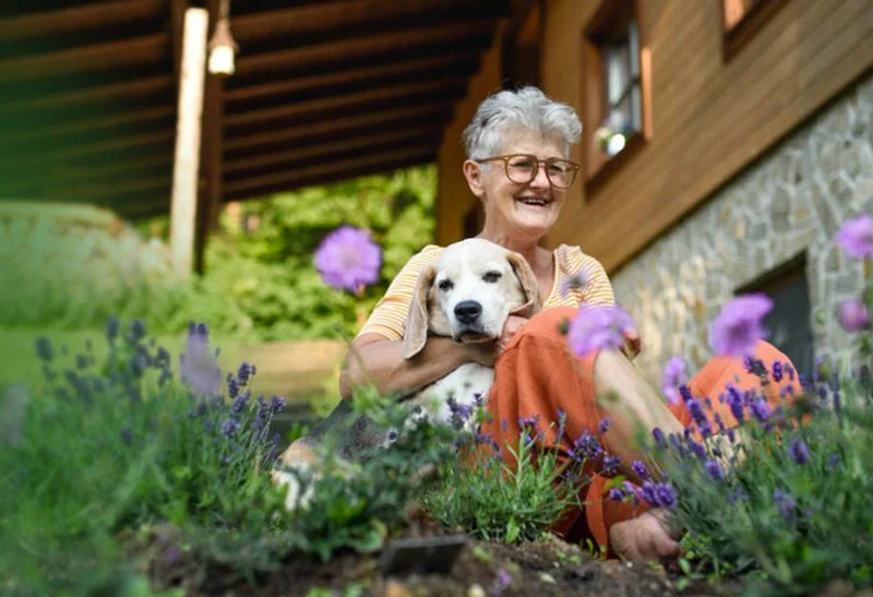 holistic-actions-homepage-mobile holistic pet care mobile