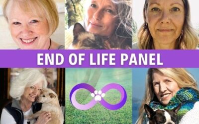 Essence of Animal Hospice and Holistic End-of-Life Care: Panel Discussion