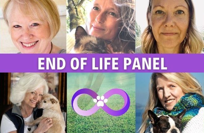 Essence of Animal Hospice and Holistic End-of-Life Care: Panel Discussion