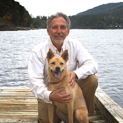 Pioneering Holistic Veterinary Medicine: From Matter to Energy