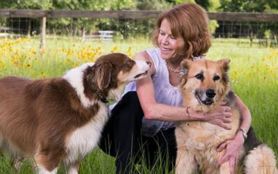 Enhancing the Quality of Life for Senior Pets Through Pain Management