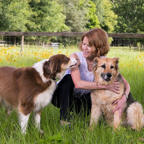 Enhancing the Quality of Life for Senior Pets Through Pain Management