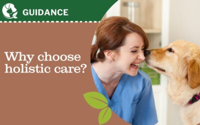Nurturing Your Pet’s Well-Being: A Compassionate Guide to Considering Holistic Veterinary Care