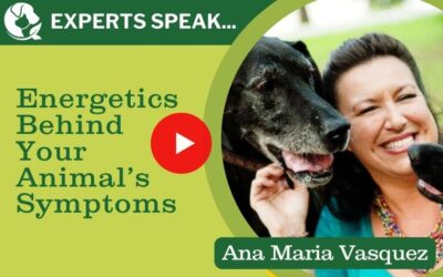 Intention and Energy For Healing Pets: Interspecies Communication