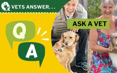 Ask a Vet Q&A 12/27/24