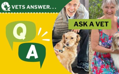 Ask a Vet Q&A Session 4/26/2024