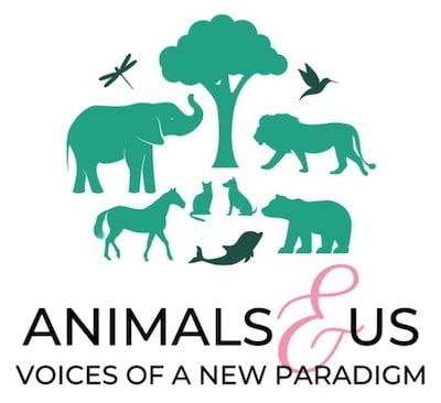 animal paradise, holistic actions press, holistic pet care