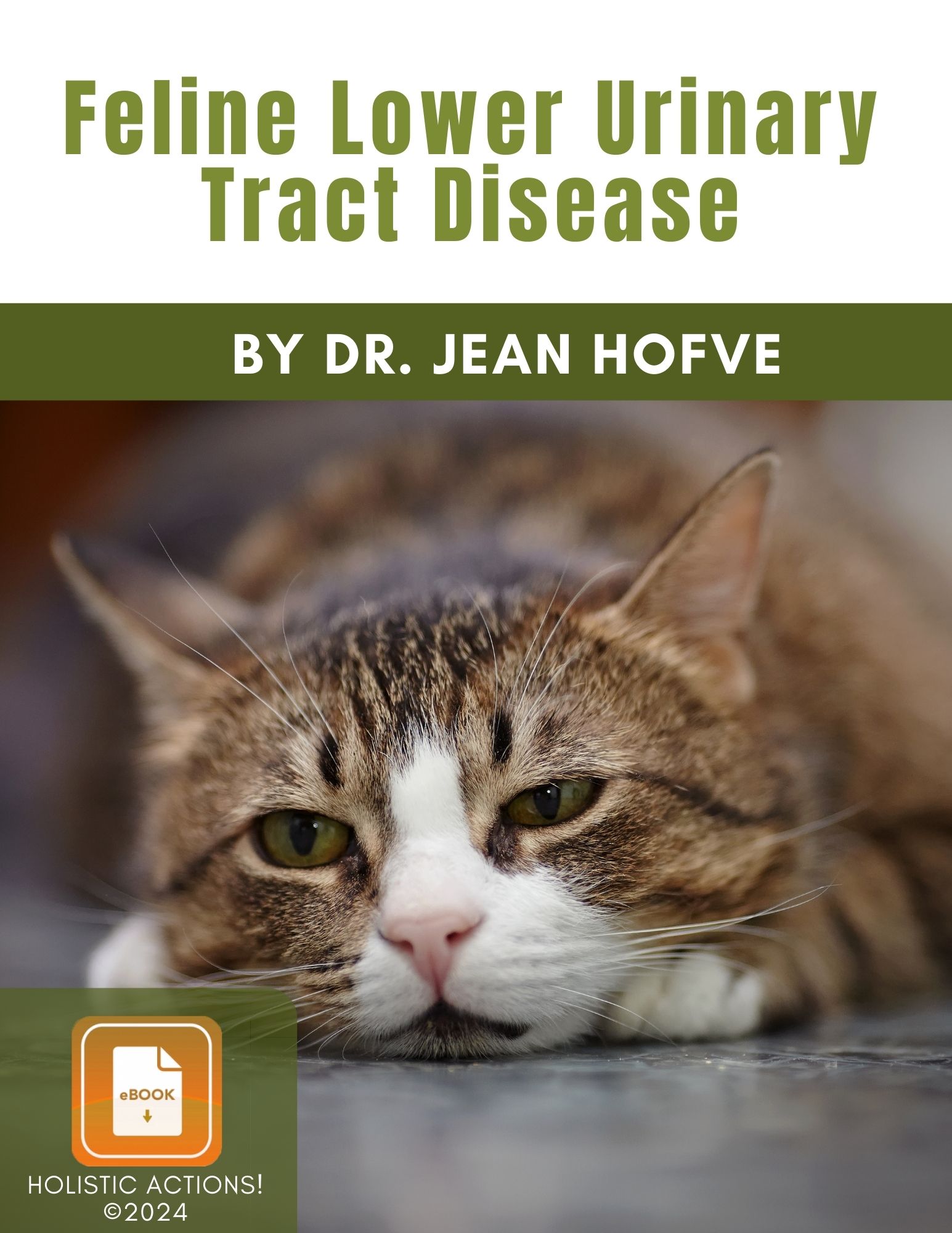 Feline Lower Urinary Tract Disease ebook cover