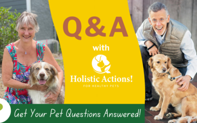 Ask a Vet Q&A 2/28/2025