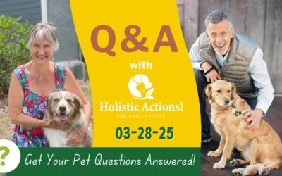 Ask A Vet – Live Q&A 3/28/25