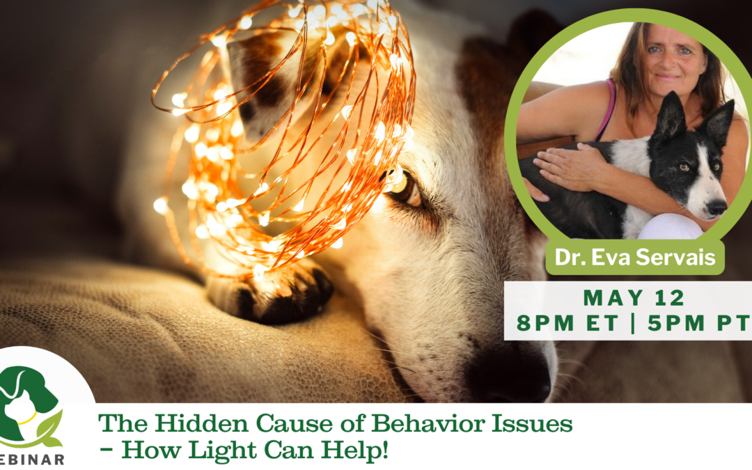 05/12/2025 Empower Hour! Light Therapy
