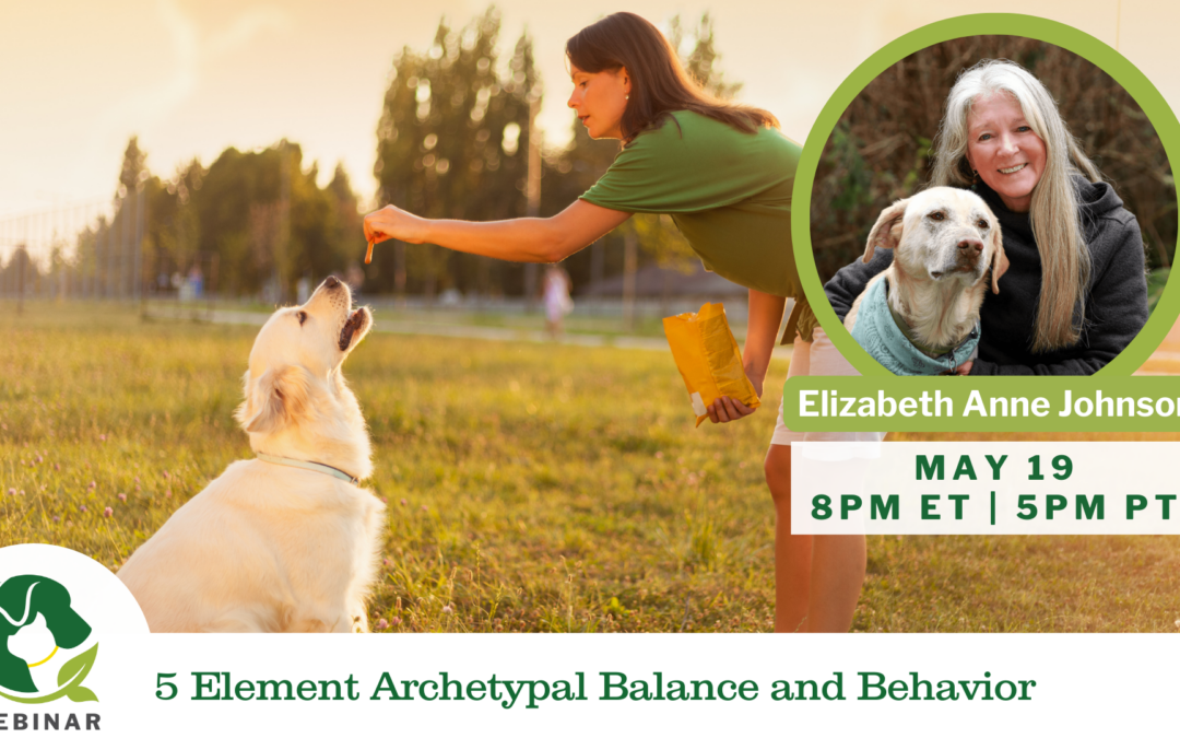 05/19/2025 Empower Hour! 5 Element Archetypal Balance and Behavior