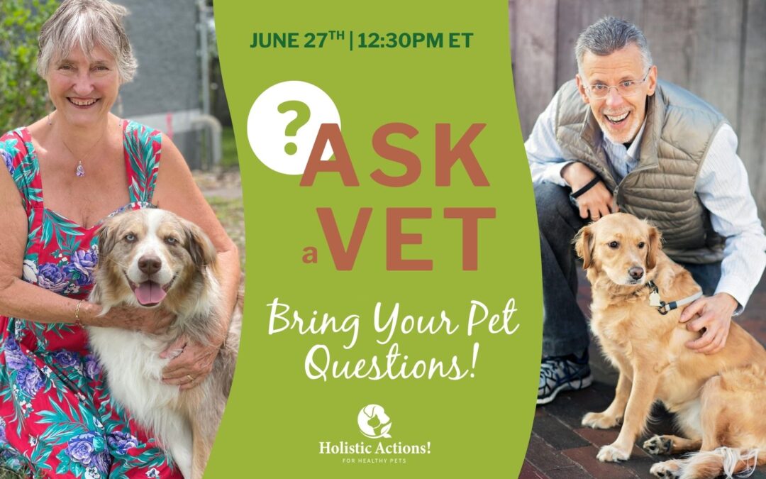 Ask A Vet – Live Q&A 6/27/25
