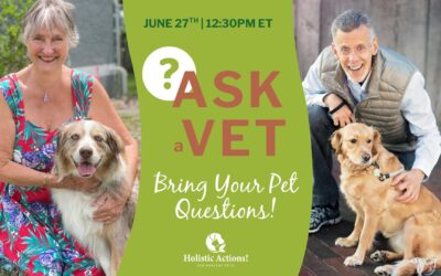 Ask A Vet – Live Q&A 6/27/25
