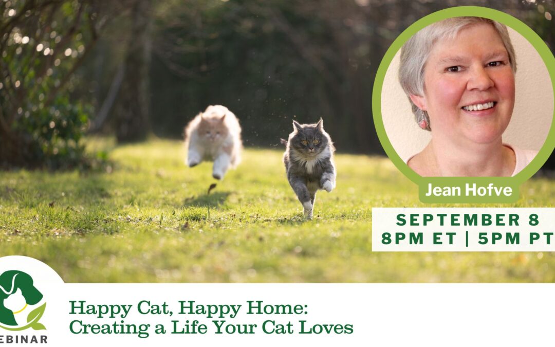 09/08/25 Empower Hour! Creating a Life Your Cat Loves