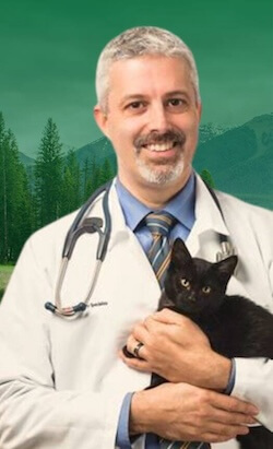 Marnin-Forman-mobile (1) Dr. Marnin Forman - a speaker at Holistic actions pet health webinar