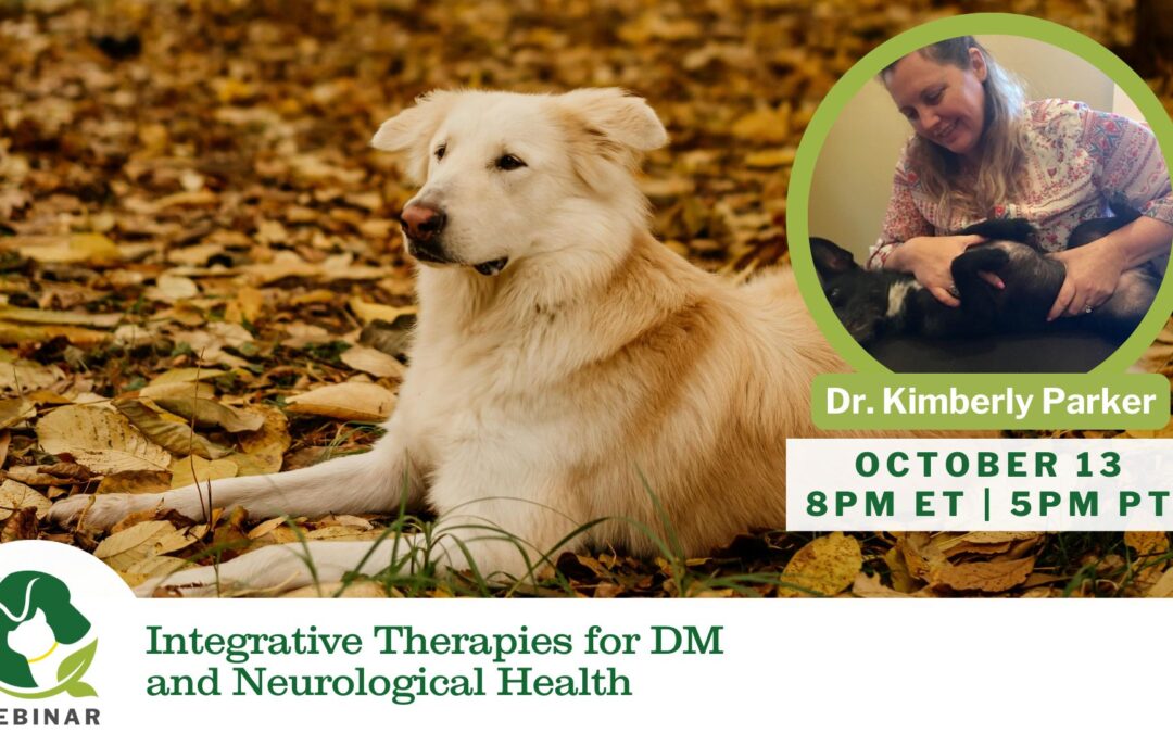 10/13/25 Empower Hour! Integrative Therapies for DM and Neurological Health