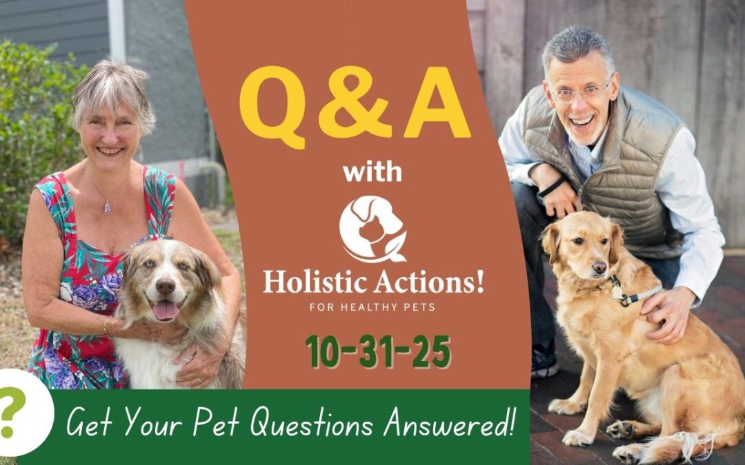 Ask A Vet – Live Q&A 10/31/25