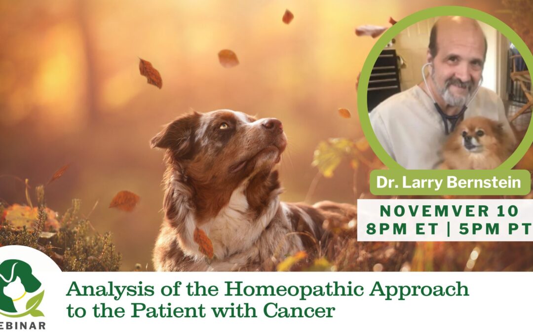 11/10/25 Empower Hours! Analysis of the Homeopathic Approach to the Patient with Cancer