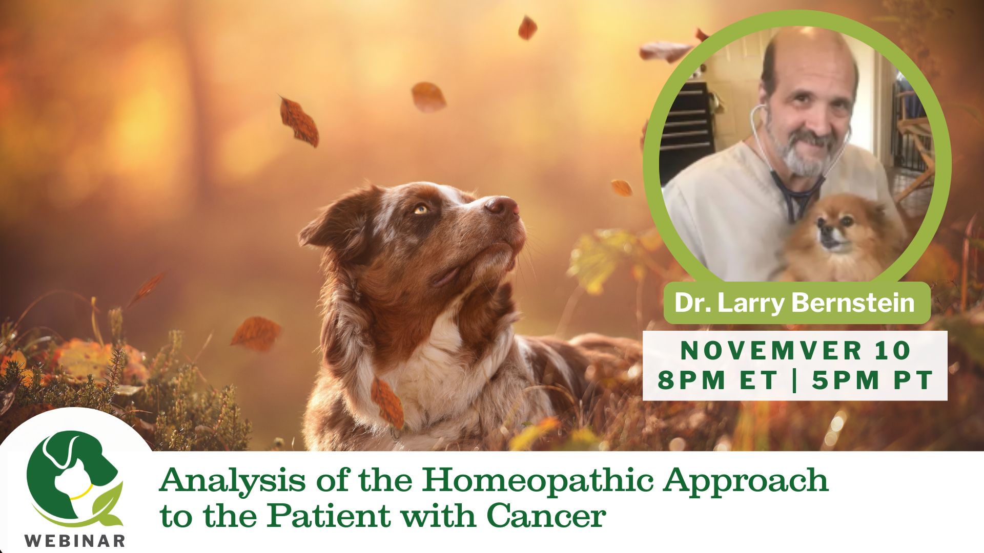 11/10/25 Empower Hours! Analysis of the Homeopathic Approach to the ...