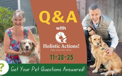 Ask A Vet – Live Q&A 11/28/25