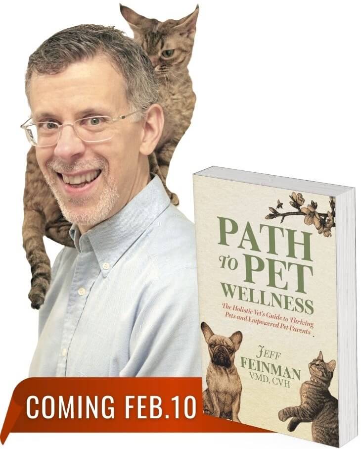dr. jeff feinman and book path to pet wellness