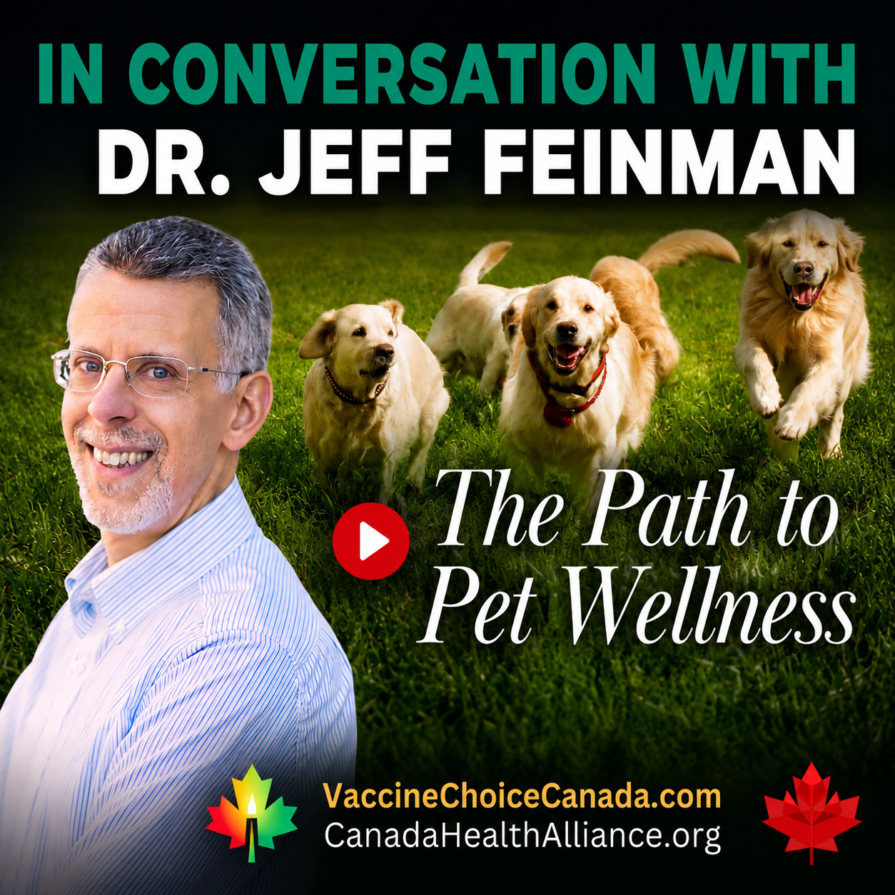 its a dog's life, angela ardolino, cbd dog health, holistic actions press